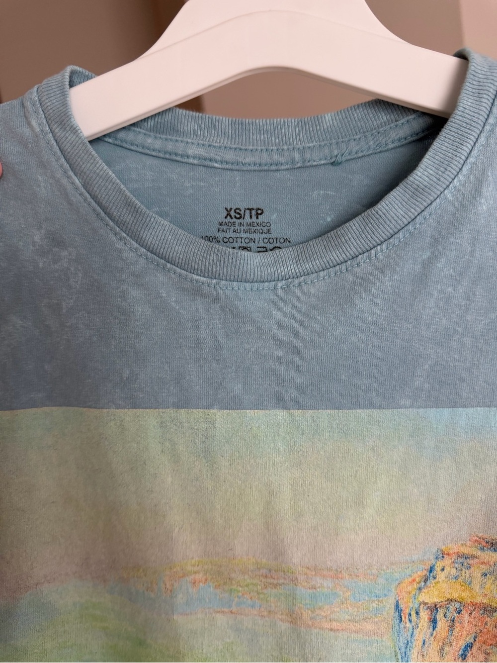 Claude Monet Graphic Tee in Washed Blue - Picture 3 of 3